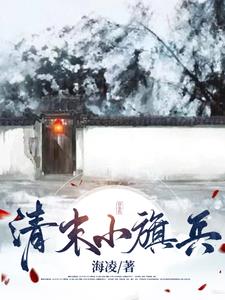 清末小说蜃楼记写的啥